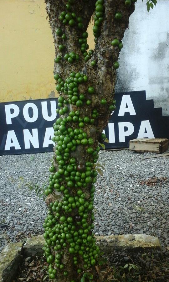 Pousada Ana Poipa Goiania Luaran gambar