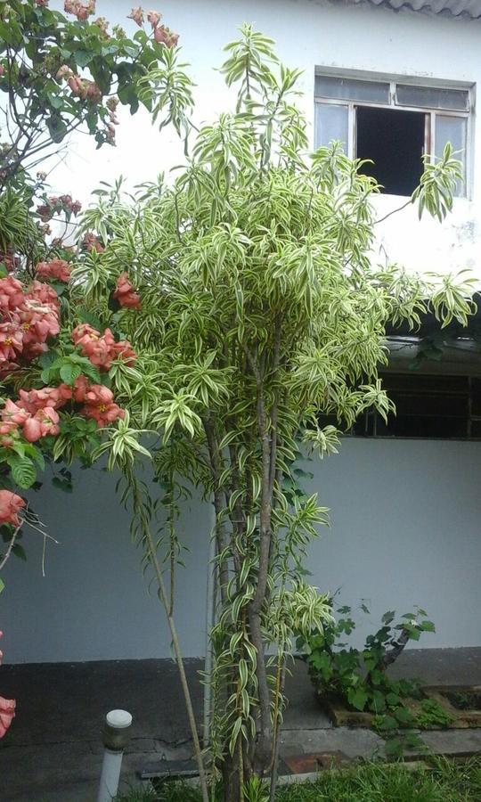 Pousada Ana Poipa Goiania Luaran gambar
